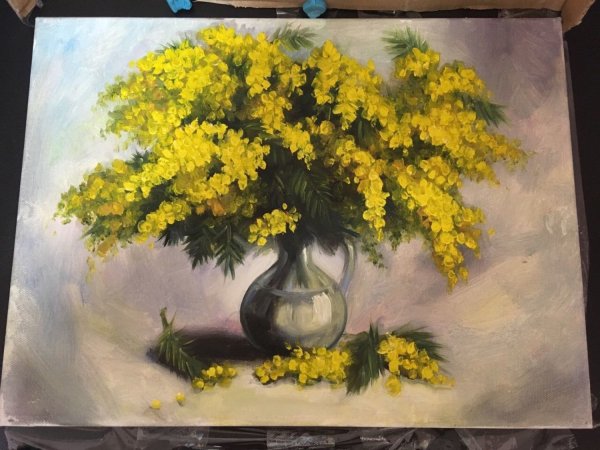 Андрияка Мимоза