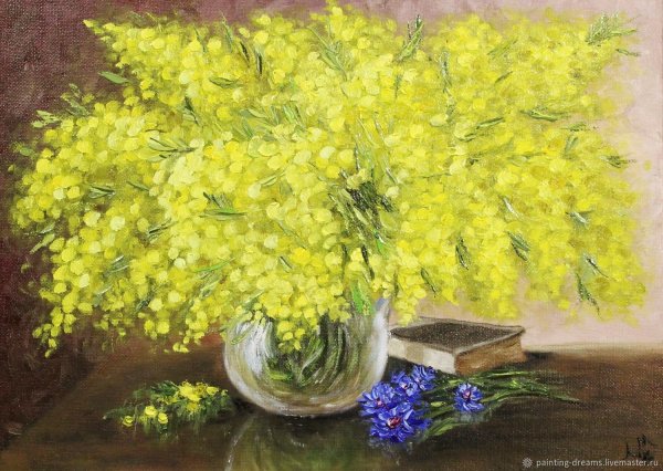 Андрияки Мимоза