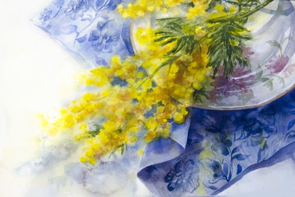 Мимоза мастихином