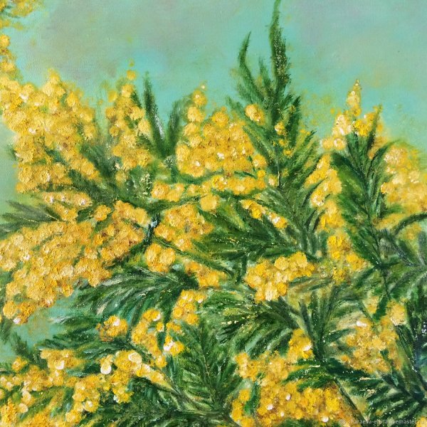 Мимоза мастихином