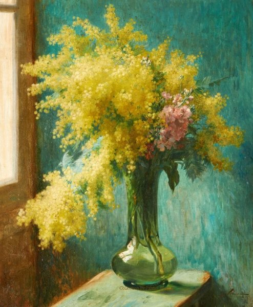 Андрияки Мимоза