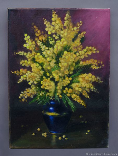 Мимоза засушенная