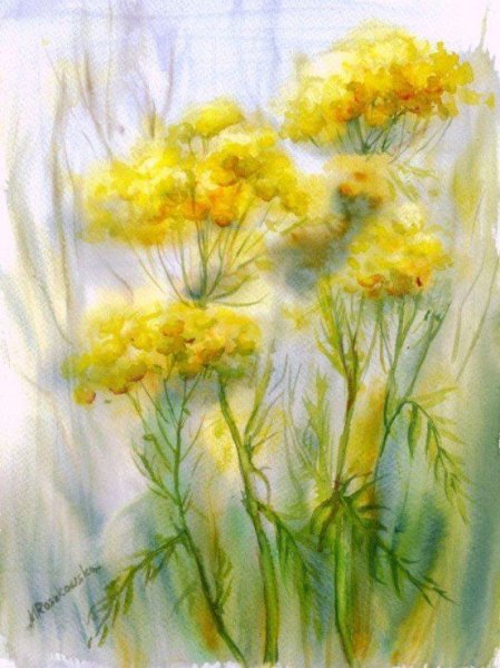 Коровин Мимоза