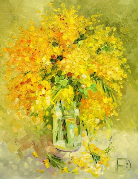 Андрияка Мимоза