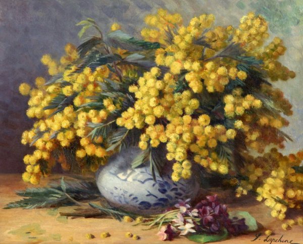 Живопись куст мимозы