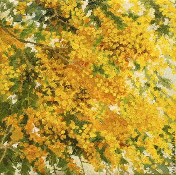 Коровин Мимоза