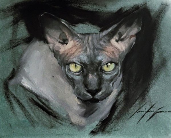 Дженнифер Дженнари кошки