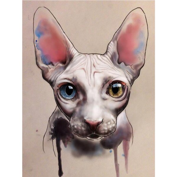 Кот сфинкс арт