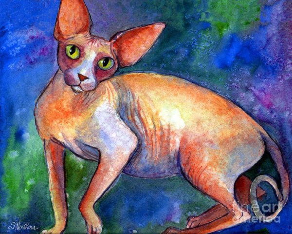 Кошки сфинкс живопись