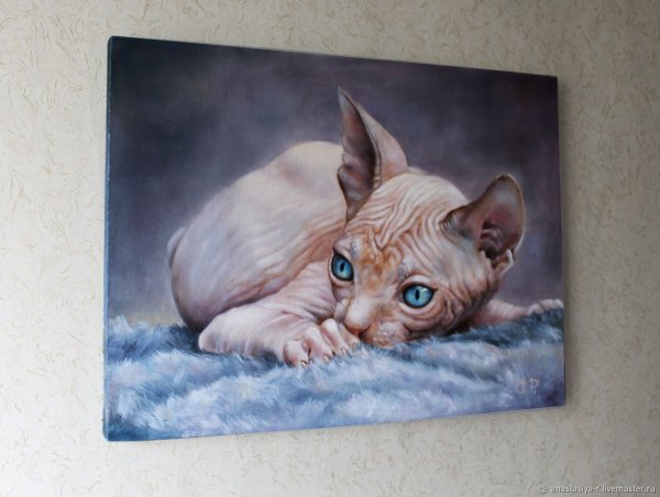 Сфинкс кошка картина