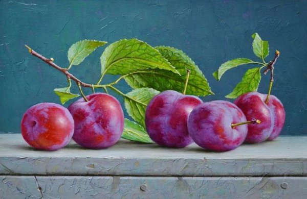 Слива акварель Андрияка