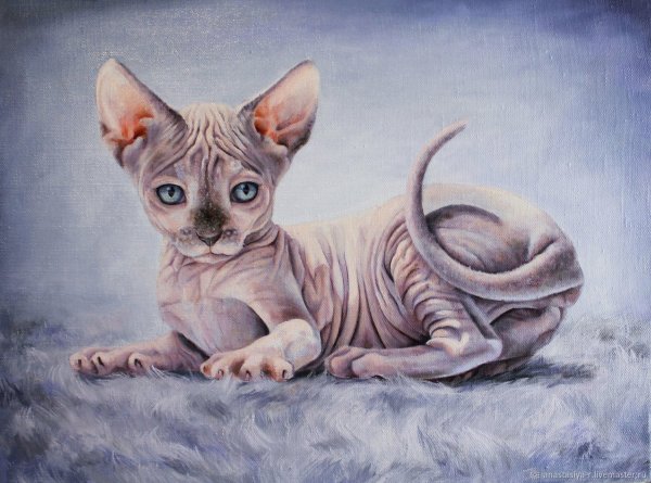 Сфинкс портрет