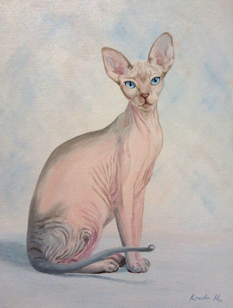 Живопись акрилом кот сфинкс