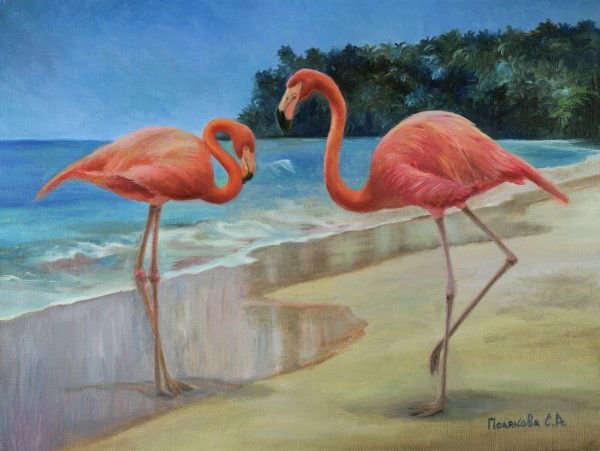 Фламинго картина