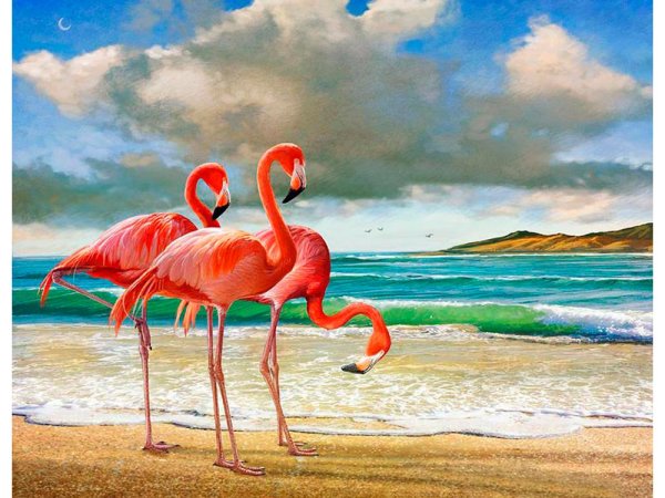 Розовые Фламинго, картина по номерам, CV-gx29378
