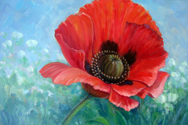 Мак живопись