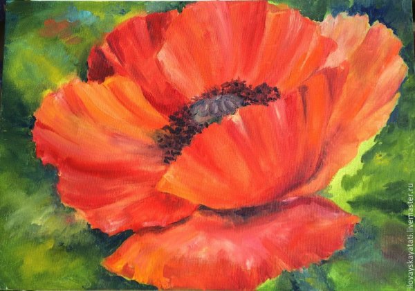 Мак нарисованный маслом