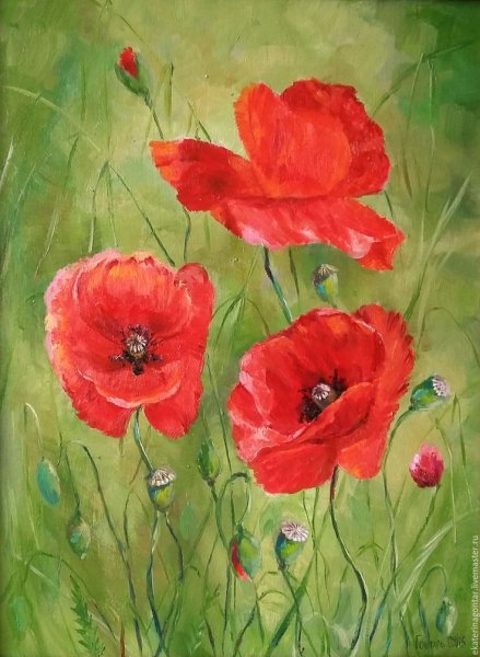 Картина "маки" художника Тюриховой Натальи