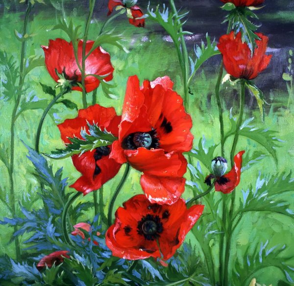 Картина "маки" художника Тюриховой Натальи
