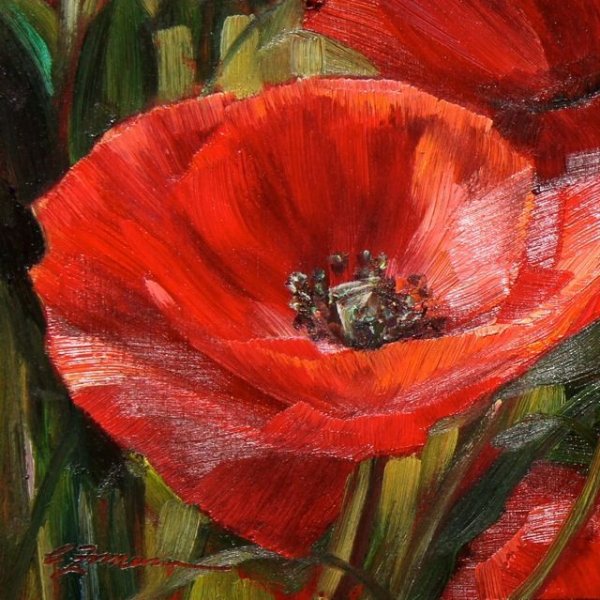 Маки акрилом