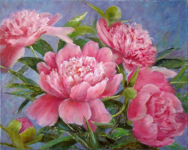 Пионы Татьяне пионы Буйко