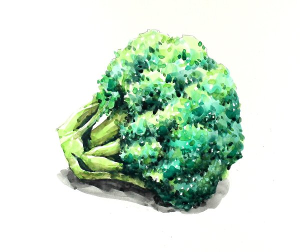 Букет из брокколи и овощей