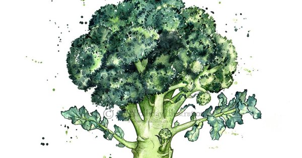 Капуста брокколи Рааб