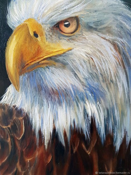 Орел гуашью