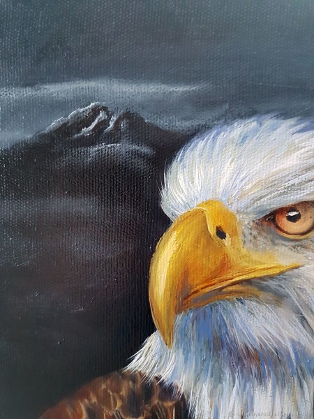 Орел картины художников