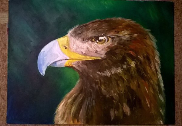 Орел крупным планом маслом картина