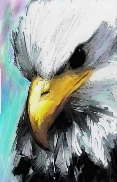 Орел красками