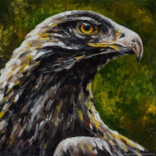 Портрет птицы