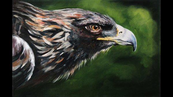Орел гуашью