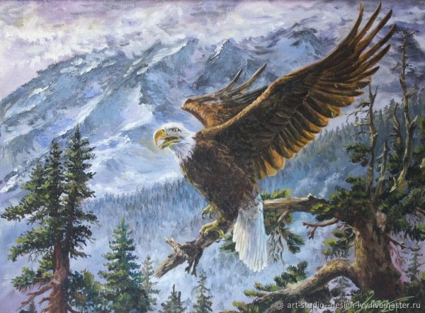 Пейзажи с орлами