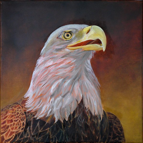 Орел портрет