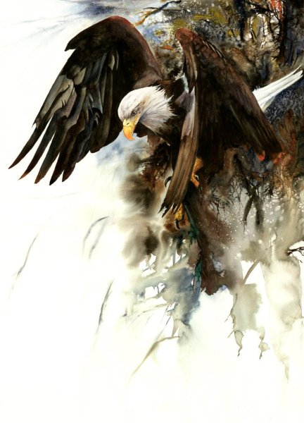 Орёл Сокол Беркут в живописи маслом