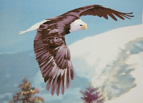 Полет орла в живописи