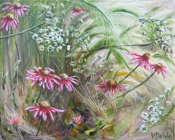 Эхинацея живопись
