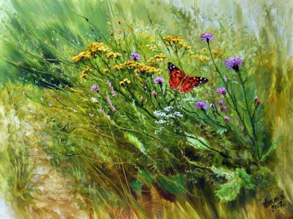Луговые травы... Художник Алексей Аникин.