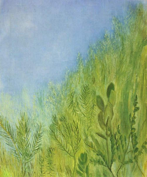 Давид Штеренберг травы