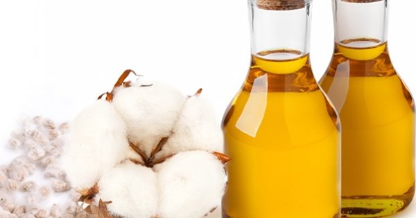 Хлопковое масло завод Карши