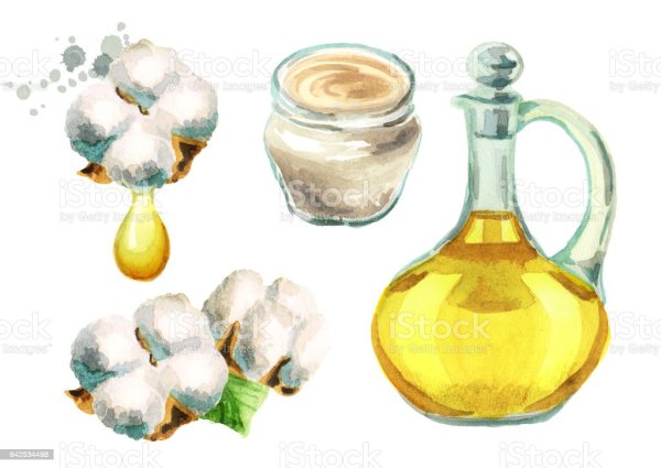 Хлопок масло вектор