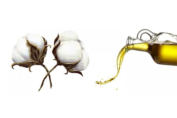 Хлопковое масло на прозрачном фоне