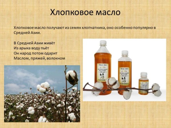 Хлопковое масло полезные