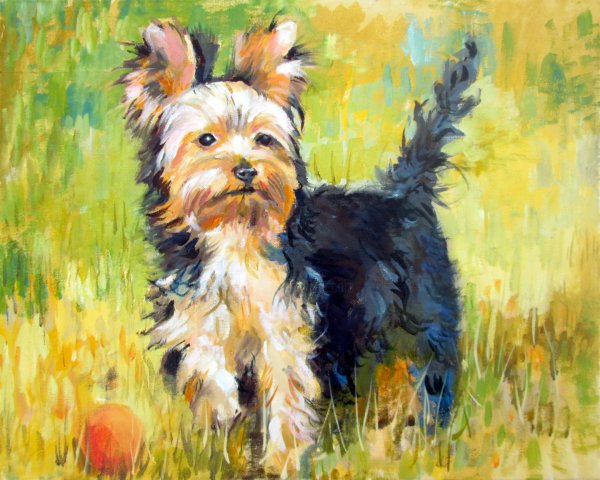 Терьер Вильямс