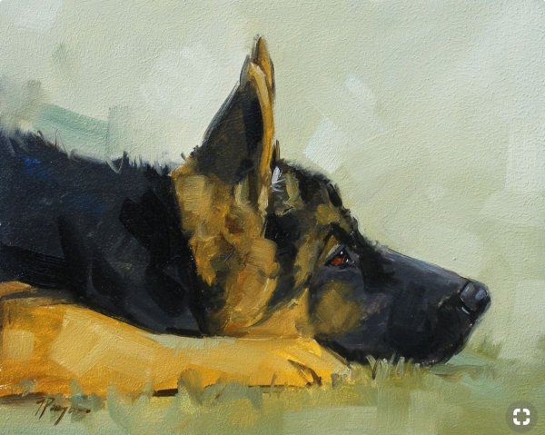 Немецкая овчарка живопись