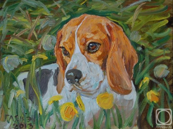 Живопись собаки маслом