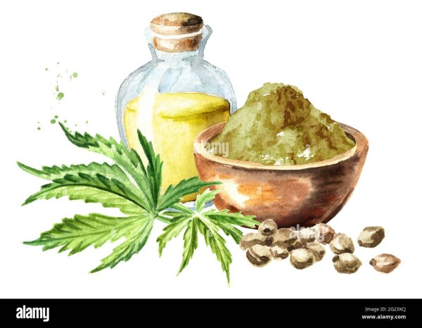 Мука конопляная на белом фоне