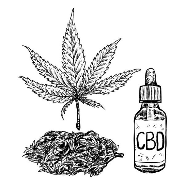 Рисунки черной ручкой марихуана