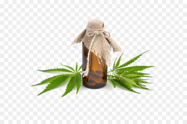 Бутылка с маслом конопли прозрачном фоне